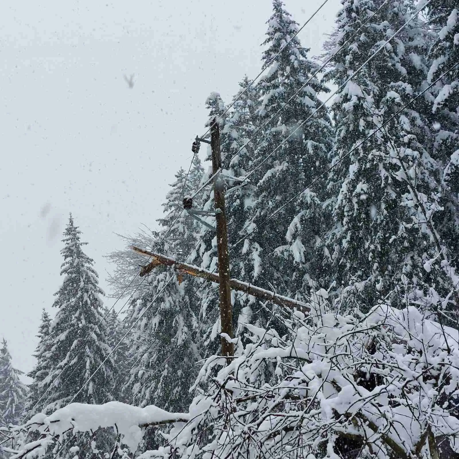 Fotografija – Odpravljanje napak: Brez električne energije je še 3.000 odjemalcev