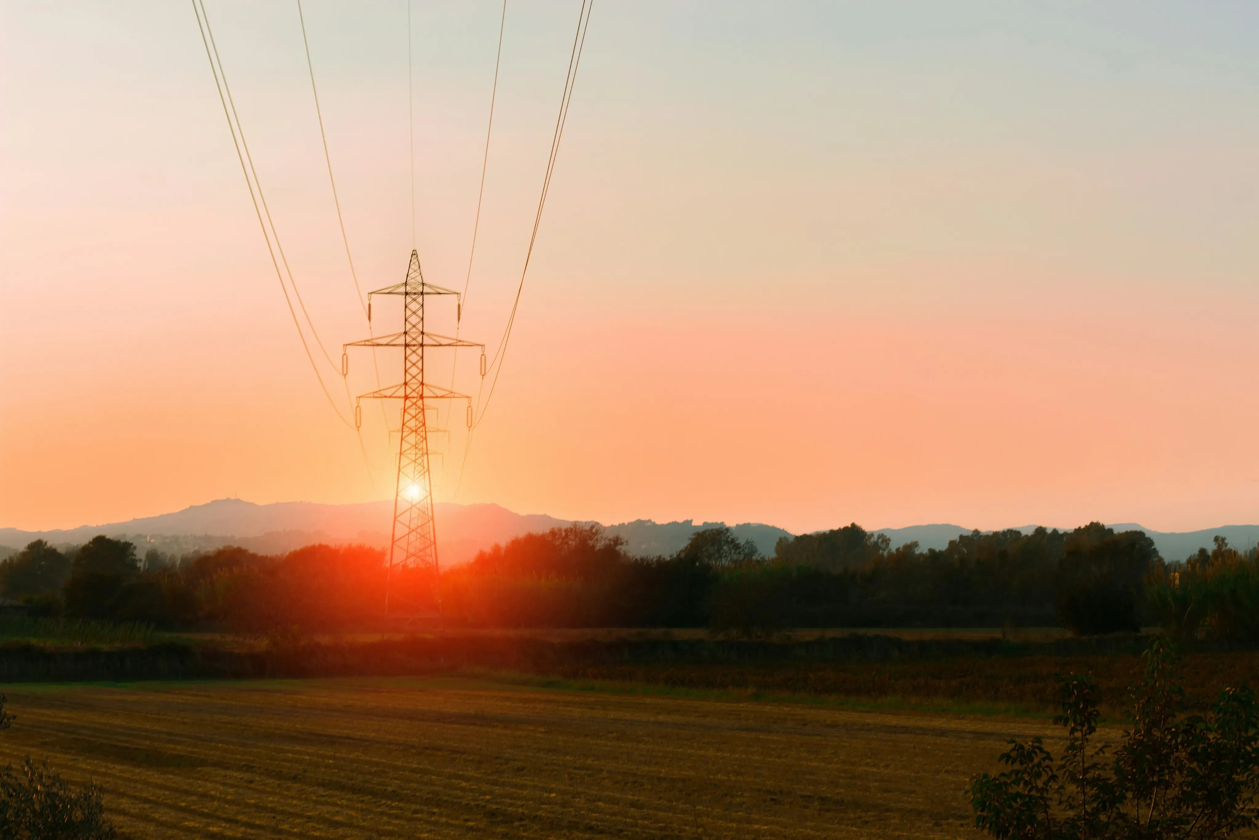 Field with sunset