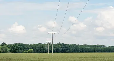Field