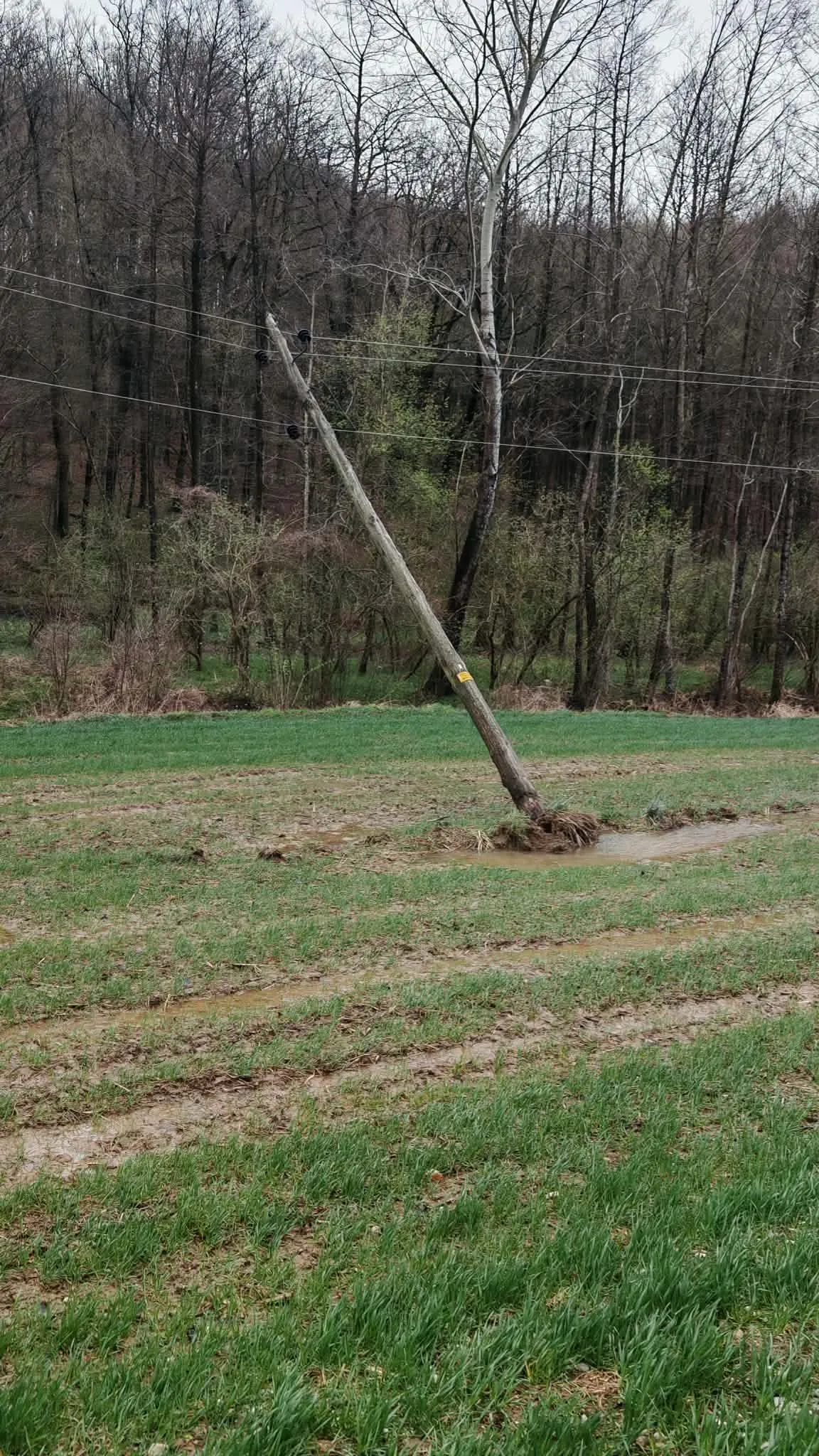 Izjemno zahtevne razmere na elektroenergetskem omrežju zaradi močnega vetra – fotografija 4 od 4