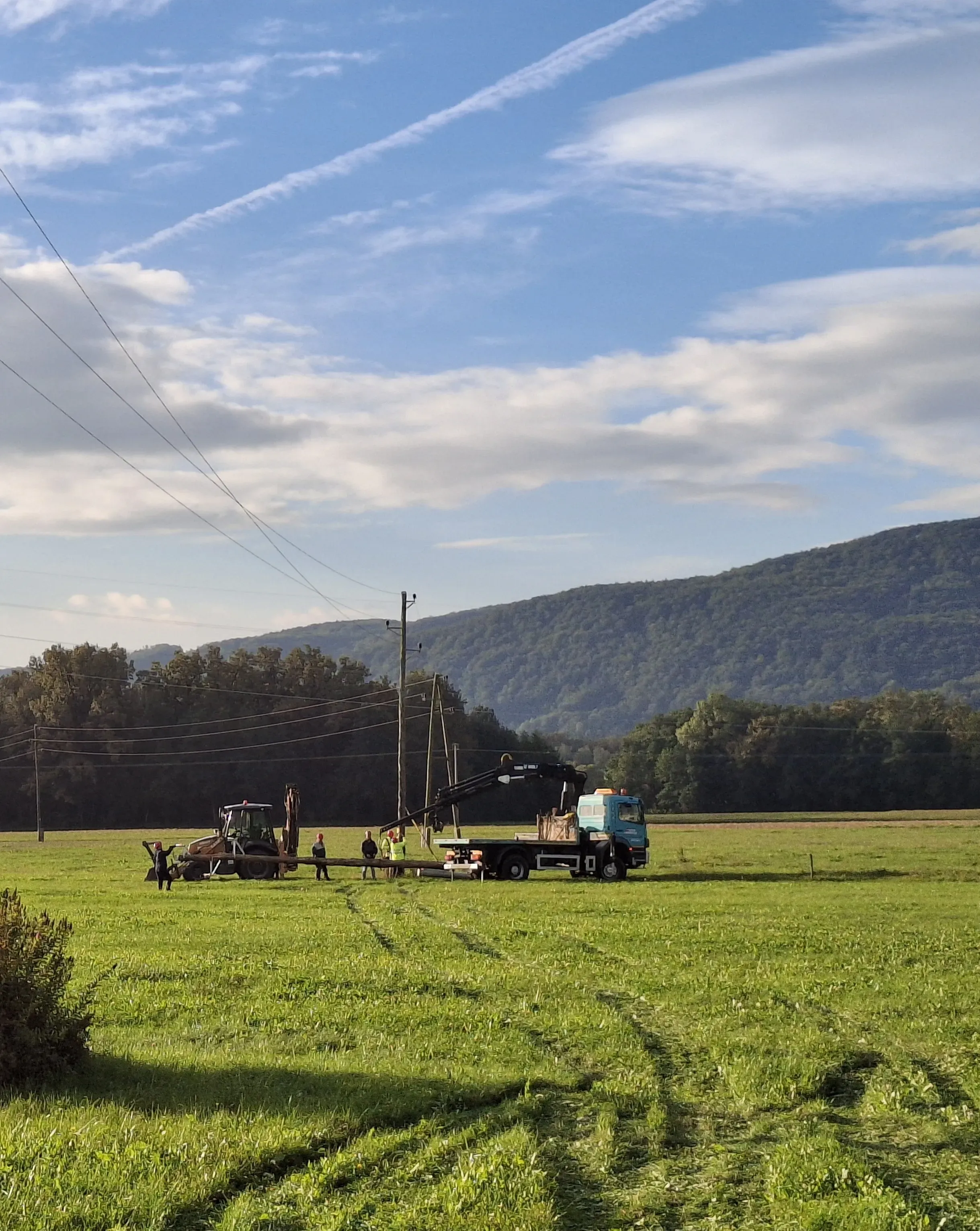 Workers on the field